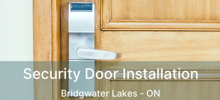  Security Door Installation Bridgwater Lakes - ON
