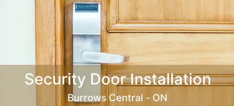  Security Door Installation Burrows Central - ON