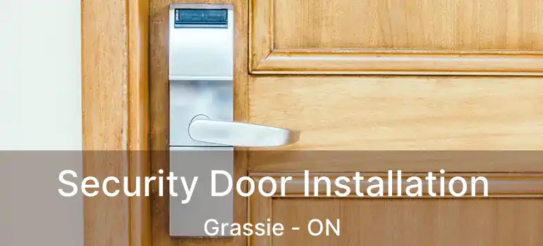  Security Door Installation Grassie - ON