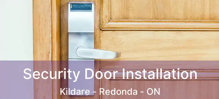  Security Door Installation Kildare - Redonda - ON