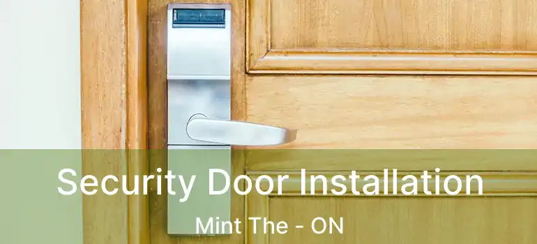  Security Door Installation Mint The - ON