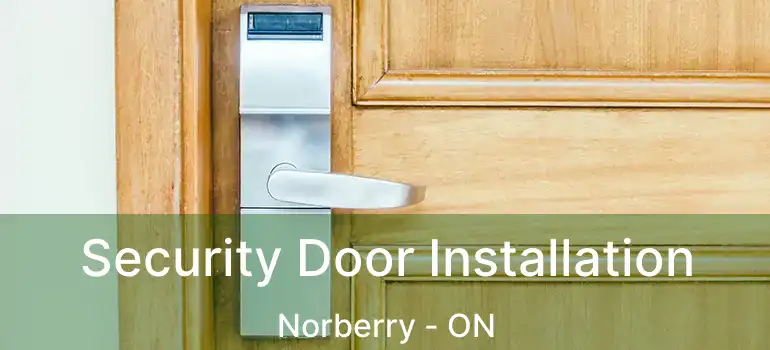  Security Door Installation Norberry - ON