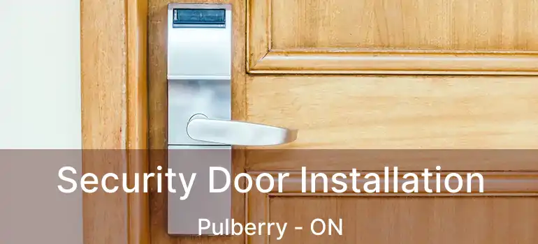  Security Door Installation Pulberry - ON