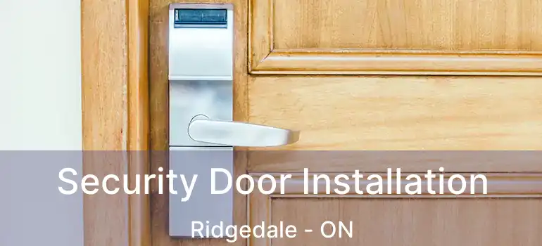  Security Door Installation Ridgedale - ON