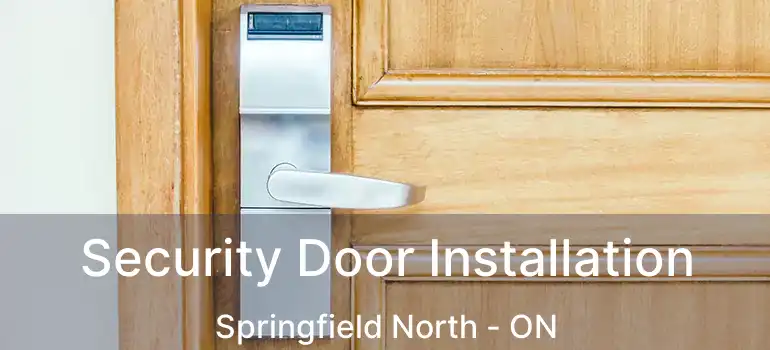  Security Door Installation Springfield North - ON