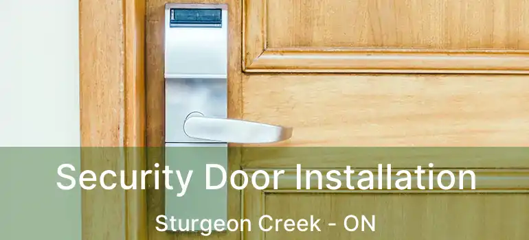  Security Door Installation Sturgeon Creek - ON