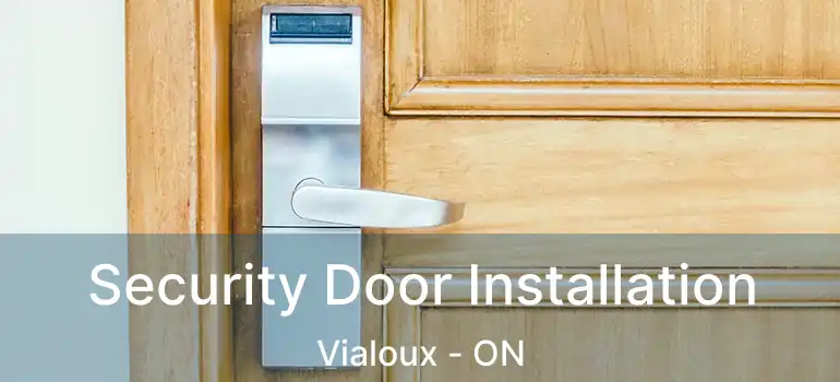 Security Door Installation Vialoux - ON
