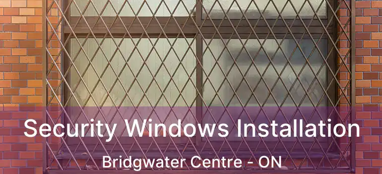  Security Windows Installation Bridgwater Centre - ON