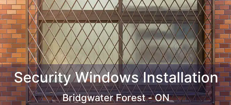  Security Windows Installation Bridgwater Forest - ON