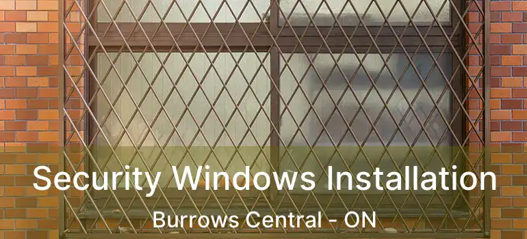  Security Windows Installation Burrows Central - ON