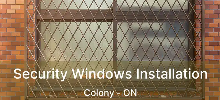  Security Windows Installation Colony - ON