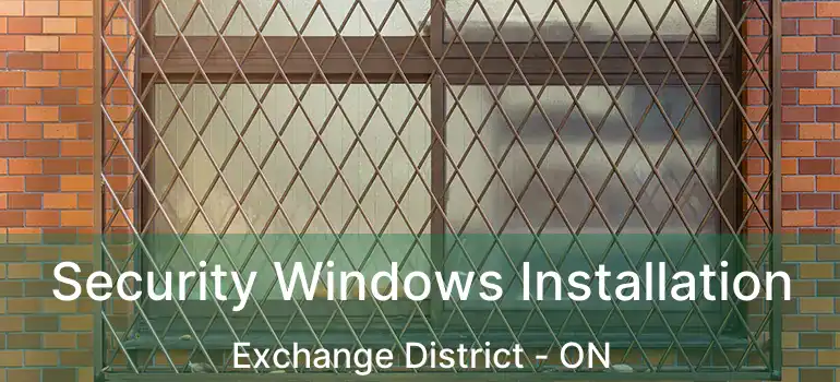  Security Windows Installation Exchange District - ON