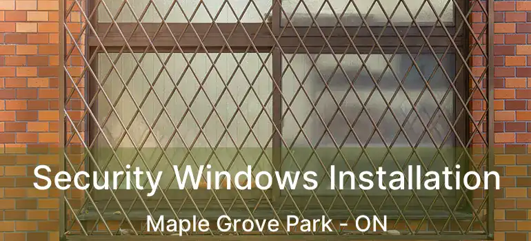  Security Windows Installation Maple Grove Park - ON