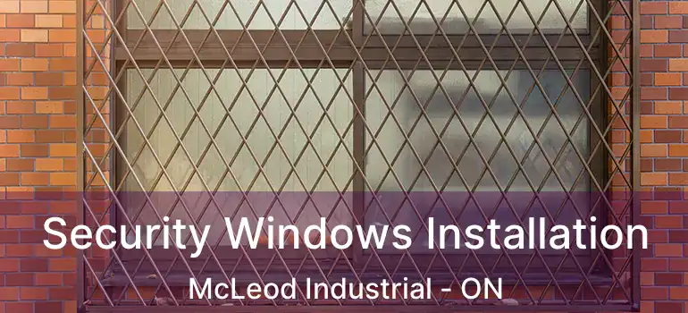  Security Windows Installation McLeod Industrial - ON