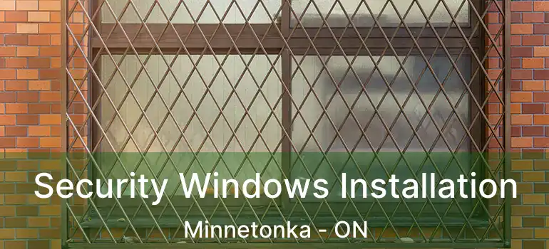  Security Windows Installation Minnetonka - ON