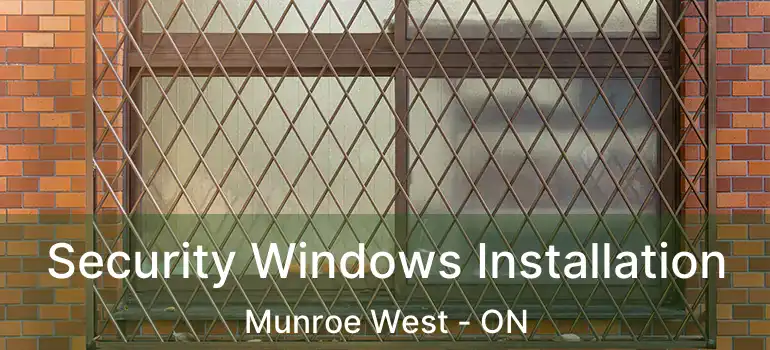  Security Windows Installation Munroe West - ON