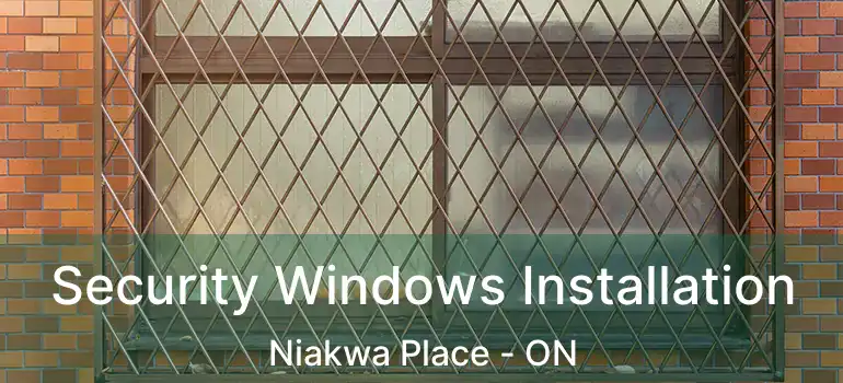  Security Windows Installation Niakwa Place - ON