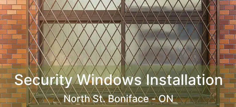  Security Windows Installation North St. Boniface - ON