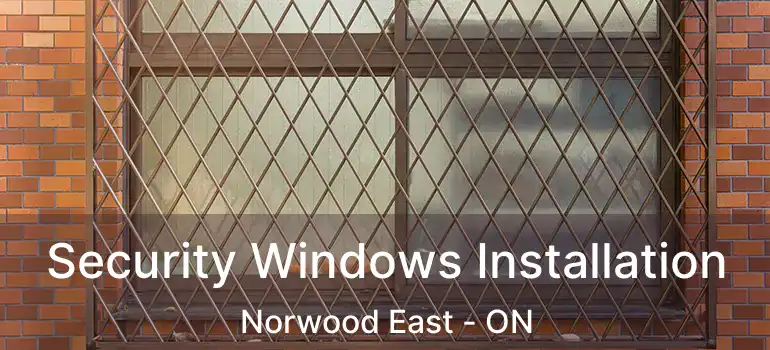  Security Windows Installation Norwood East - ON