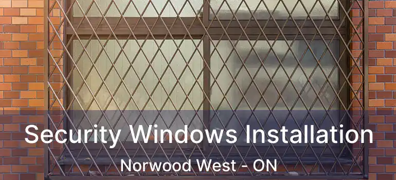  Security Windows Installation Norwood West - ON
