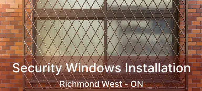  Security Windows Installation Richmond West - ON