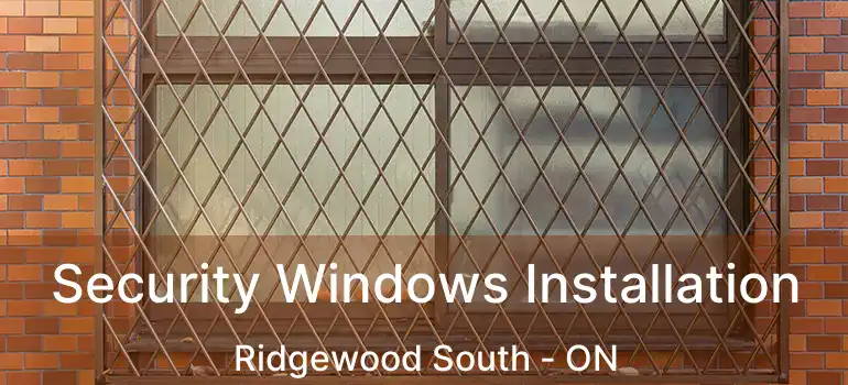  Security Windows Installation Ridgewood South - ON