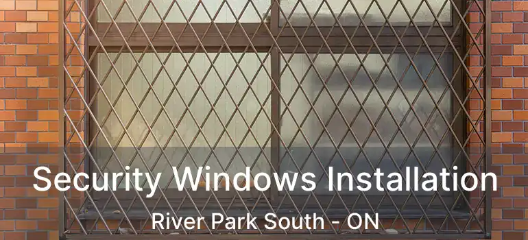  Security Windows Installation River Park South - ON