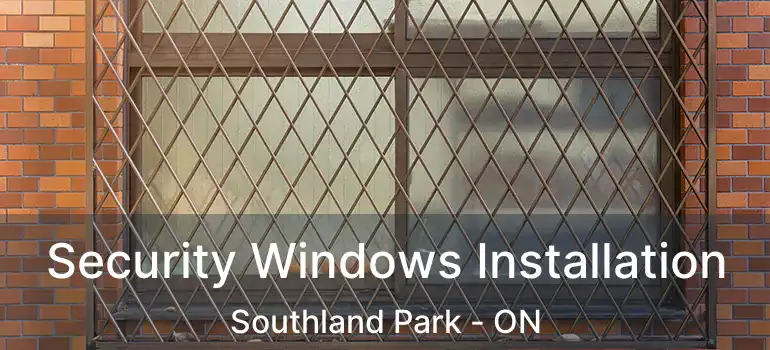  Security Windows Installation Southland Park - ON