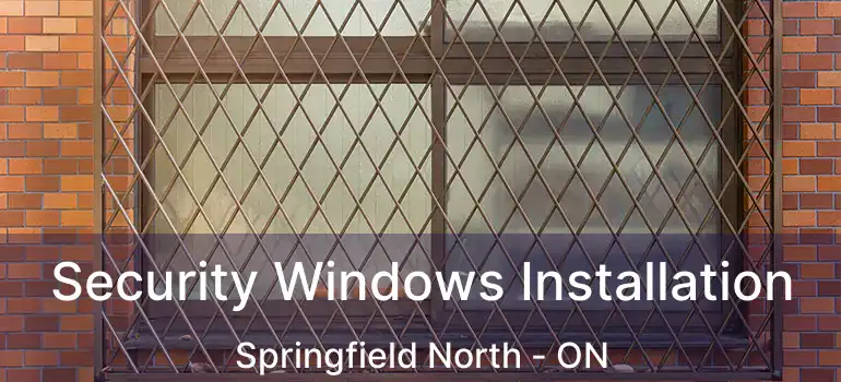  Security Windows Installation Springfield North - ON