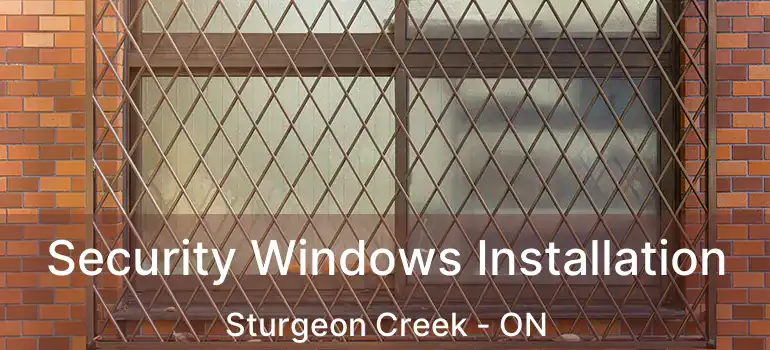  Security Windows Installation Sturgeon Creek - ON