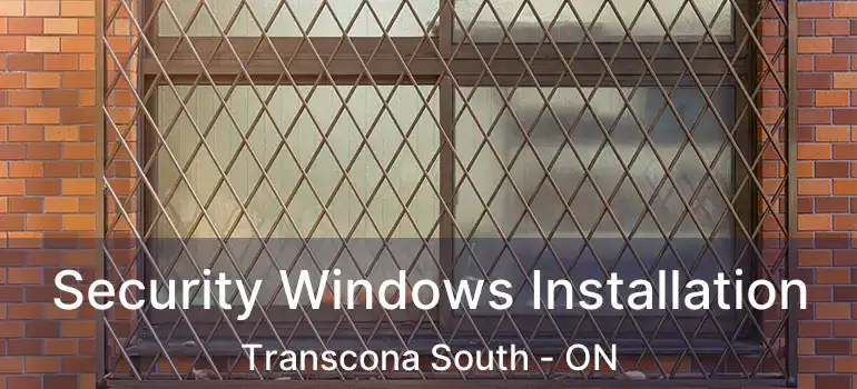  Security Windows Installation Transcona South - ON