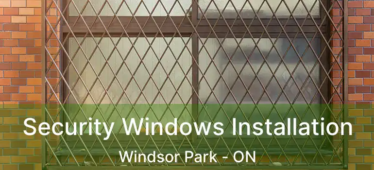  Security Windows Installation Windsor Park - ON