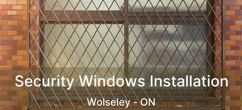  Security Windows Installation Wolseley - ON