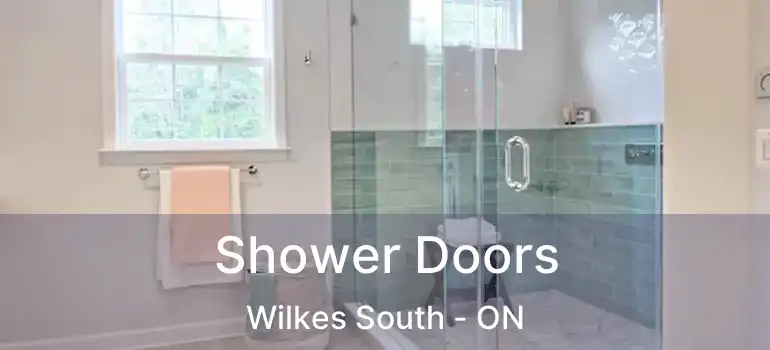  Shower Doors Wilkes South - ON