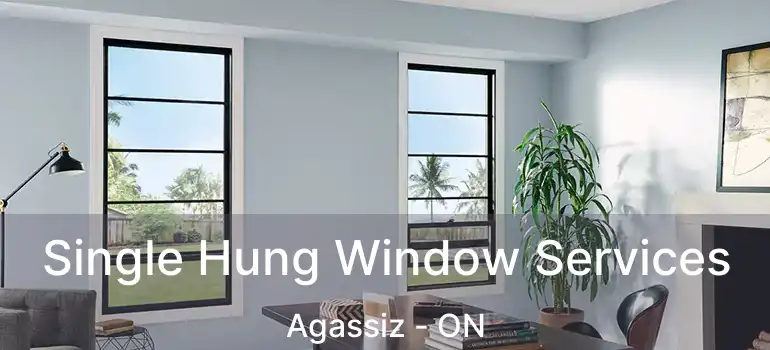  Single Hung Window Services Agassiz - ON