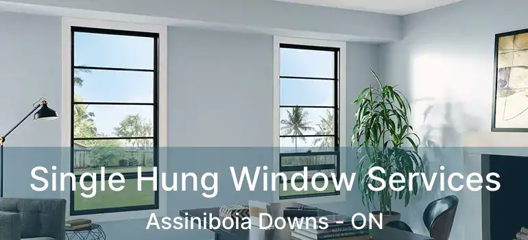  Single Hung Window Services Assiniboia Downs - ON