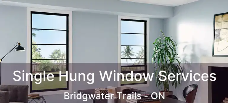  Single Hung Window Services Bridgwater Trails - ON