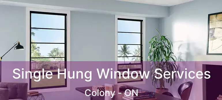  Single Hung Window Services Colony - ON