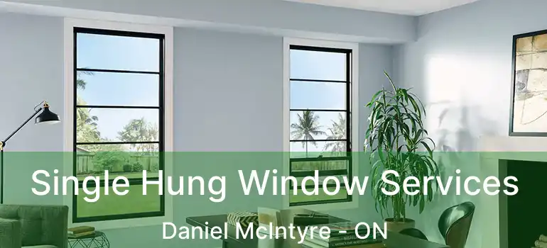  Single Hung Window Services Daniel McIntyre - ON