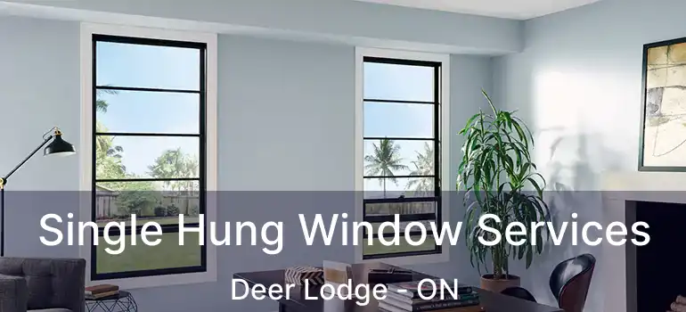  Single Hung Window Services Deer Lodge - ON