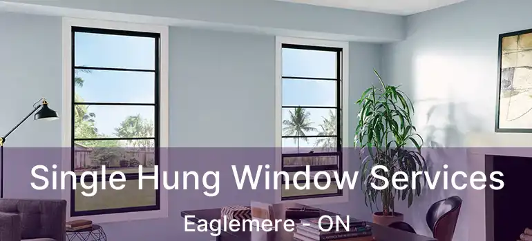  Single Hung Window Services Eaglemere - ON
