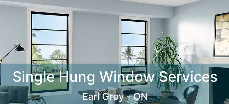  Single Hung Window Services Earl Grey - ON