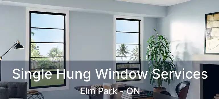  Single Hung Window Services Elm Park - ON