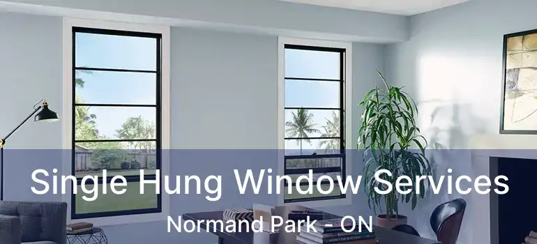  Single Hung Window Services Normand Park - ON