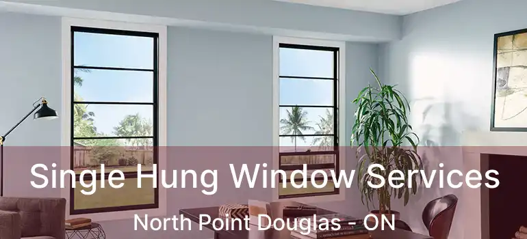  Single Hung Window Services North Point Douglas - ON