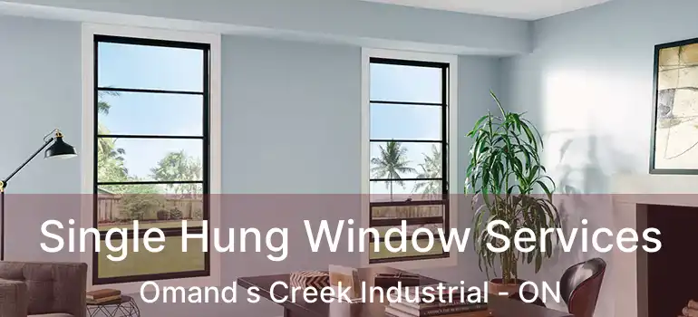  Single Hung Window Services Omand s Creek Industrial - ON