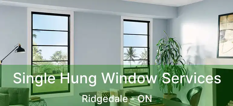  Single Hung Window Services Ridgedale - ON