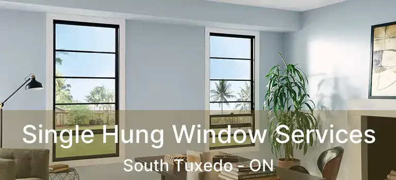  Single Hung Window Services South Tuxedo - ON