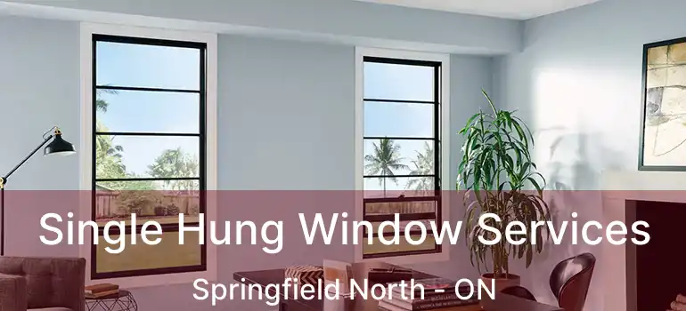  Single Hung Window Services Springfield North - ON
