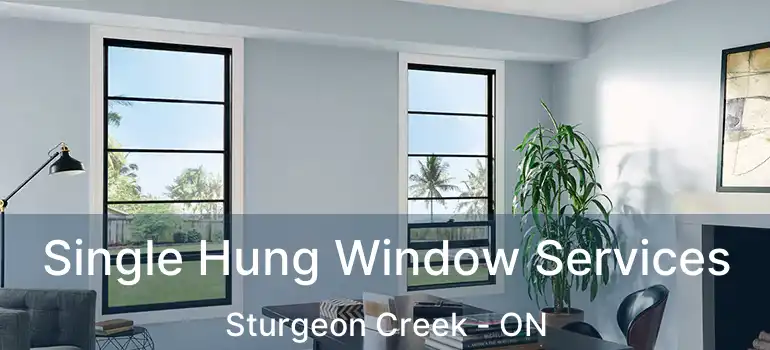  Single Hung Window Services Sturgeon Creek - ON